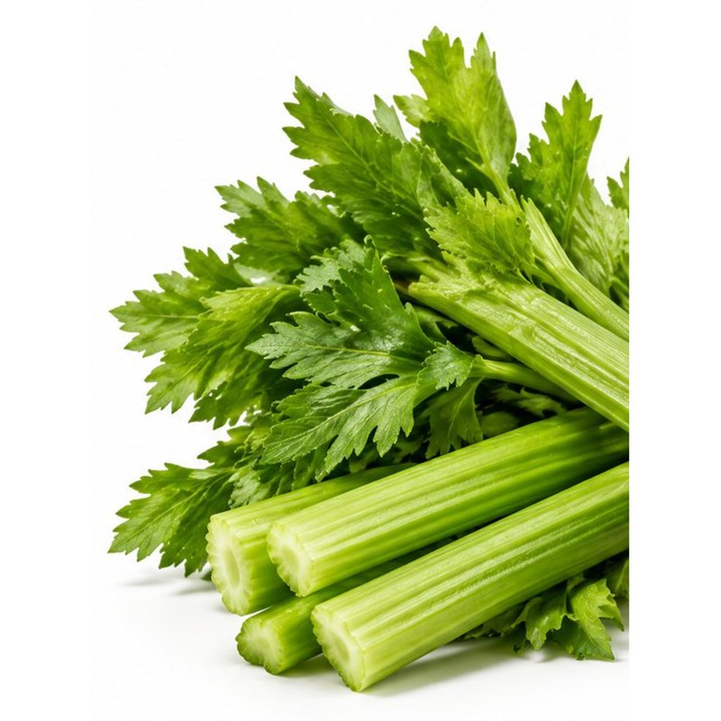 Celery