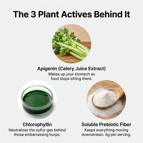 Motilli Digestive Health Gummies