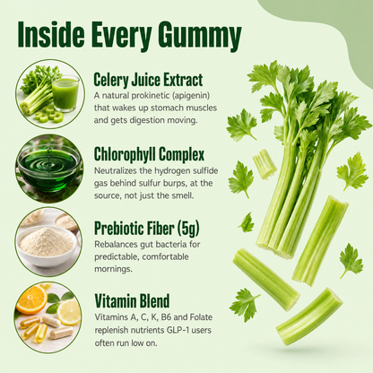 Motilli Celery Juice Gummies