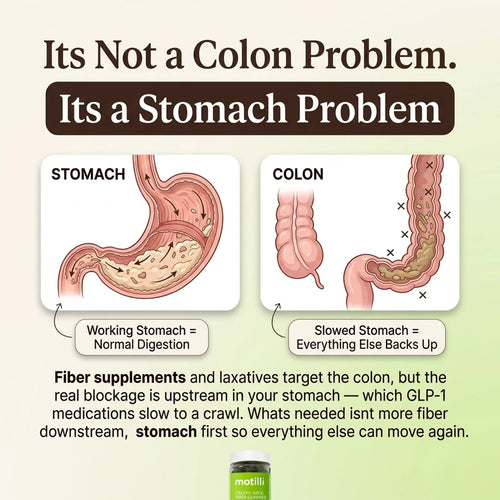 Motilli Digestive Health Gummies