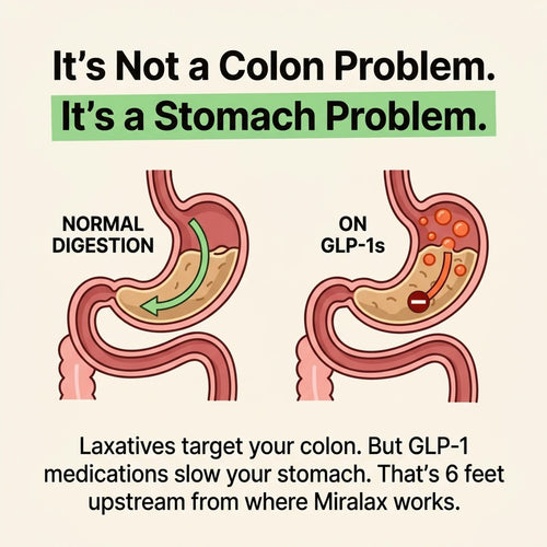 Motilli Digestive Health Gummies