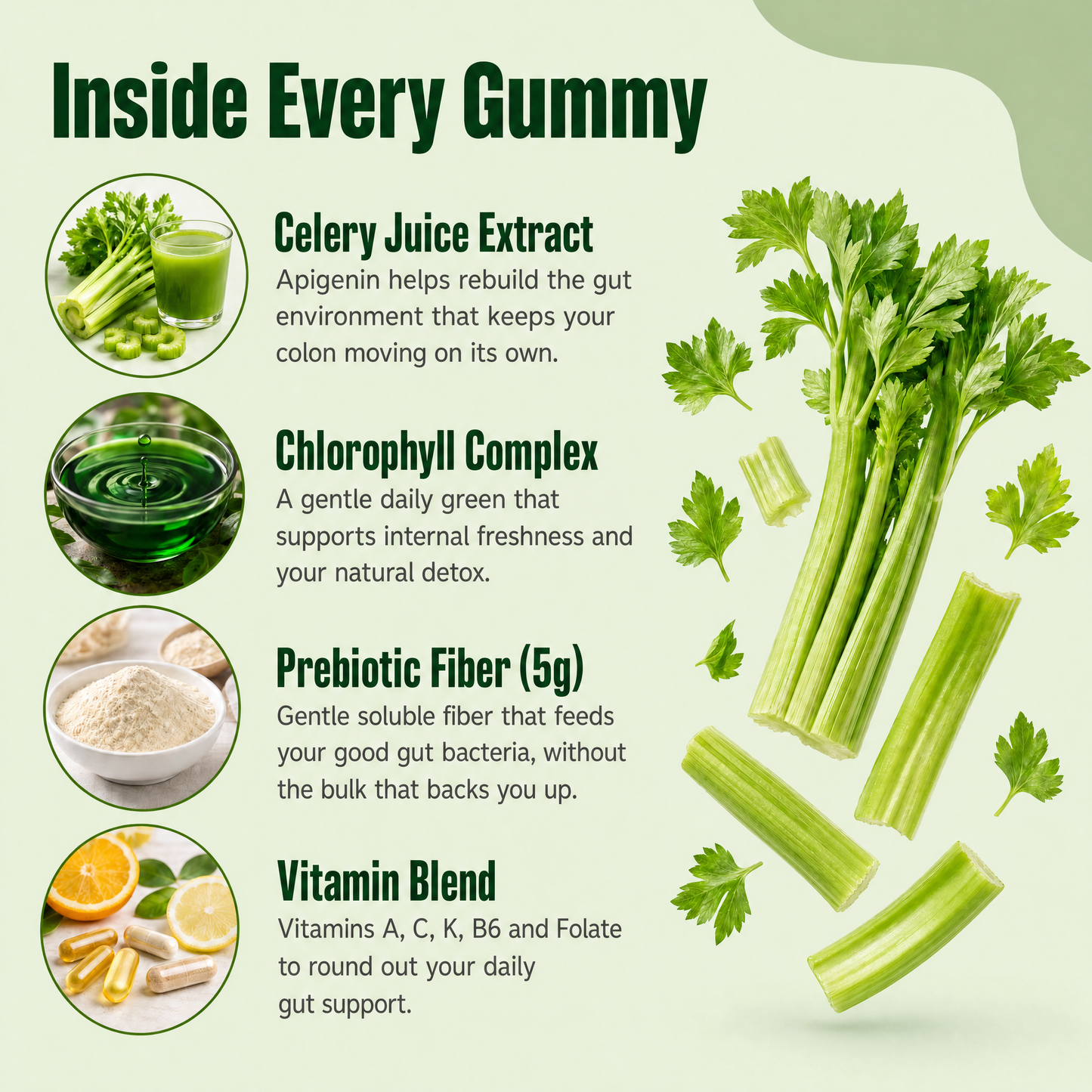 Motilli Celery Juice Gummies