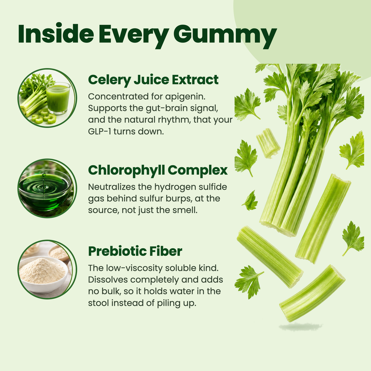 Inside every Motilli gummy: celery juice extract, chlorophyll complex, prebiotic fiber