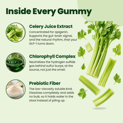 Inside every Motilli gummy: celery juice extract, chlorophyll complex, prebiotic fiber