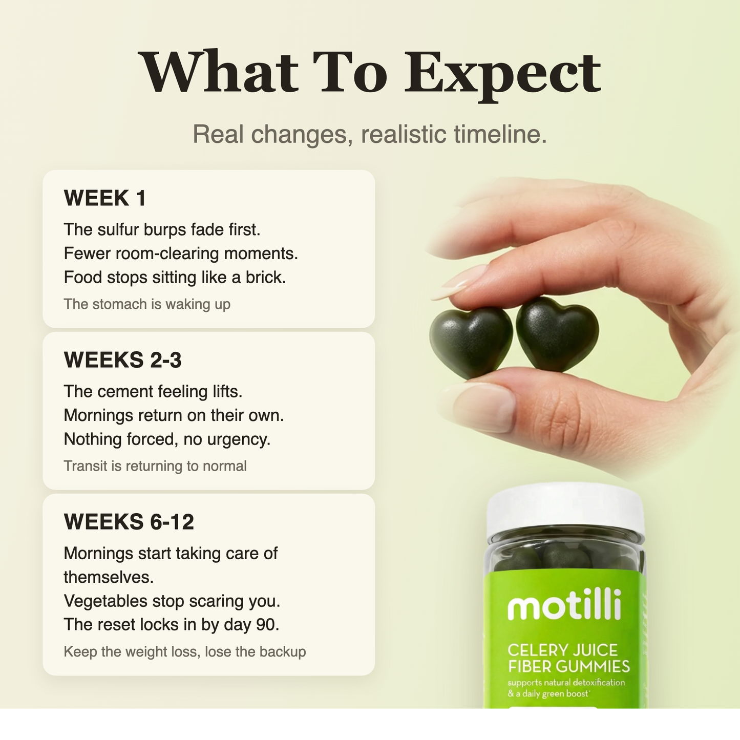 What to expect on Motilli, week by week timeline