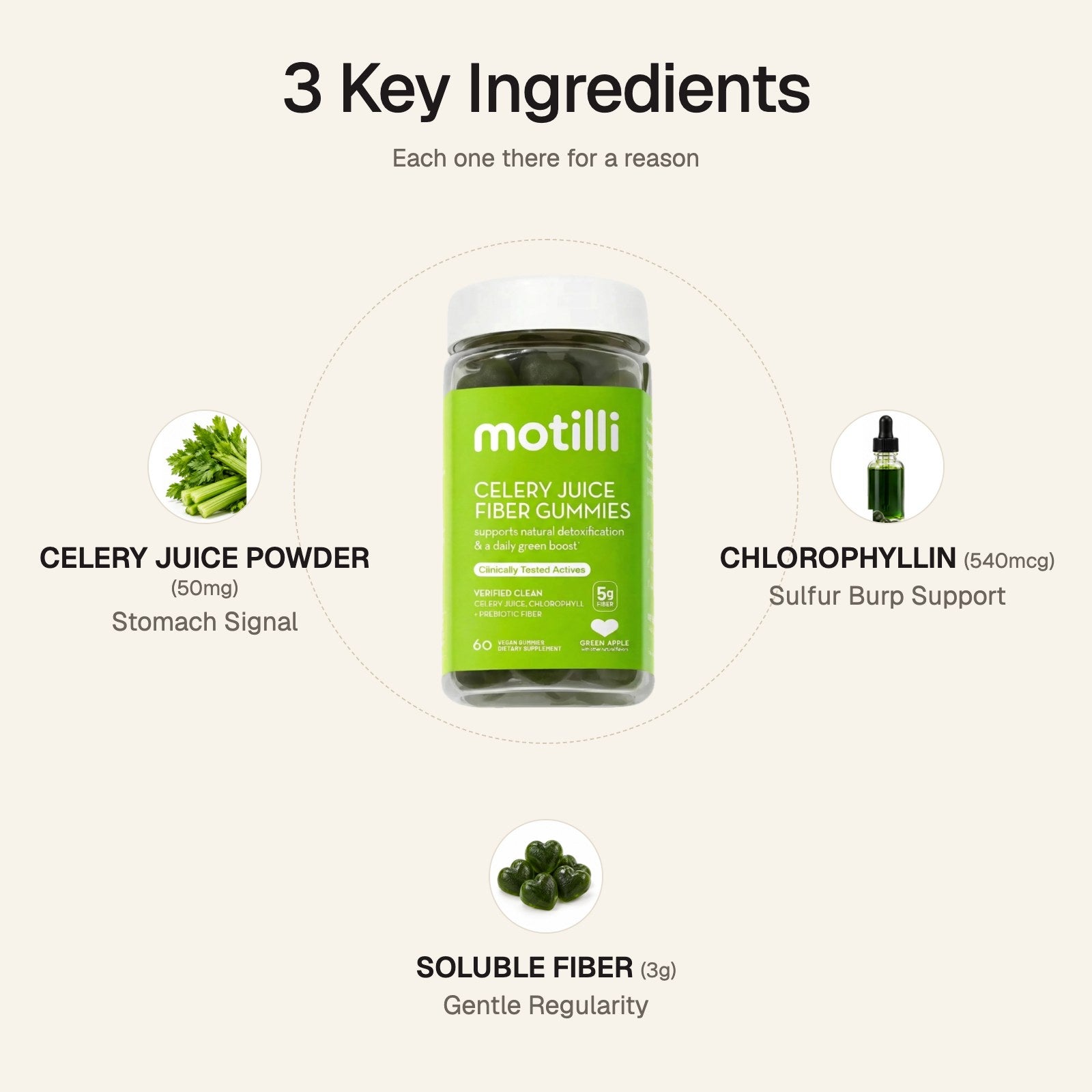 Three ingredients built around your stomach: celery juice powder, chlorophyllin, gentle soluble fiber